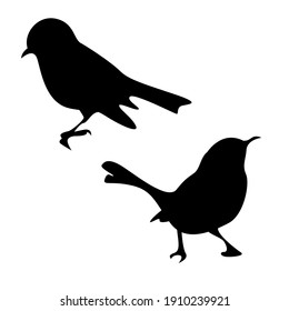 black vector isolated silhouettes of small birds on a white background