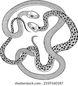 
Black vector line drawing with two intertwined snakes light and spotted.