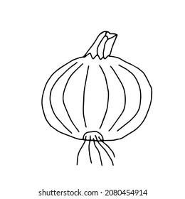 A Black Vector outline illustration of an onion isolated on a white background