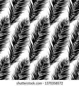 Black vector palm trees. Hand drawn seamless pattern. Summer  tropical palm tree leaves seamless pattern. Abstract nature background