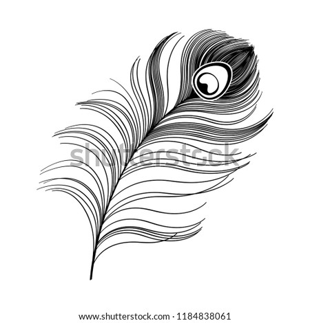 Download Black Vector Peacock Feather Silhouette Stock Vector ...