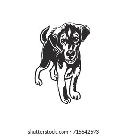 Black vector portrait dog isolated on white background. vector illustration