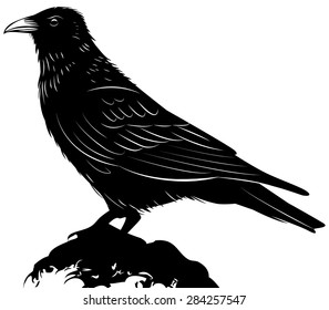 Black vector raven isolated on white background