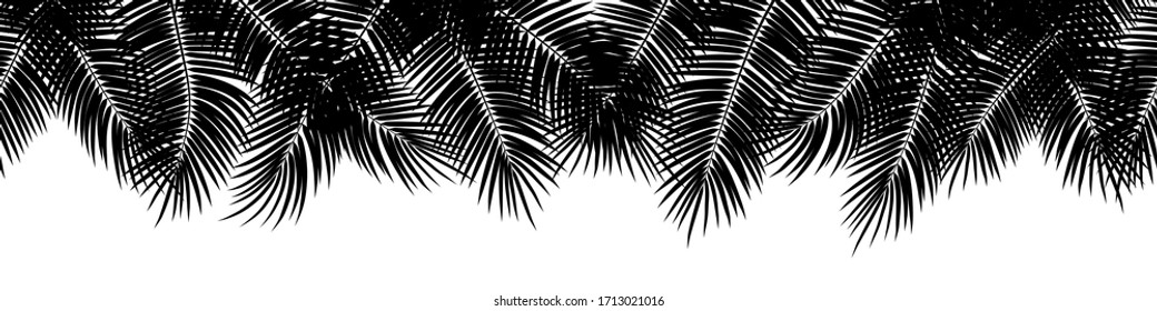 Black vector seamless summer palm leaves on white background.