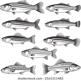 Black vector set of Fish icon. Outline EPS illustration.