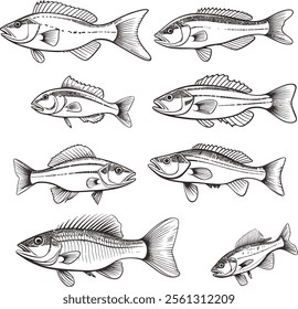 Black vector set of Fish icon. Outline EPS illustration.