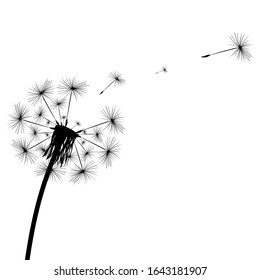 Black vector silhouette of a dandelion on a white background.