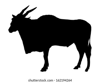 Black vector silhouette of Eland antelope standing,isolated on white background.
