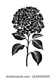 Silhueta vetor preta de flor de hortênsia com folhas. Ilustração botânica desenhada à mão, isolada sobre fundo branco. Perfeito para design floral, impressões e projetos decorativos.