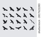 Black vector silhouette set of eagles, hawks, and falcons in various flying poses. Clean, scalable, and fully editable EPS vector illustration asset.