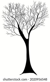 black vector silhouette of a tree with branches