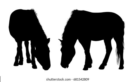 Black vector silhouettes of standing horses isolated on white background
