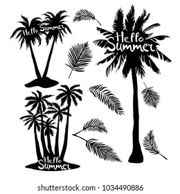 Black vector single palm tree silhouette icon isolated