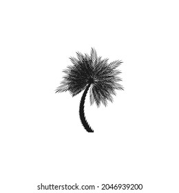 Black vector single palm tree silhouette icon isolated
