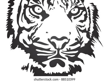 black vector tiger on white background