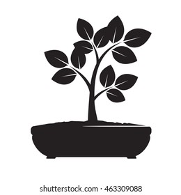 Black Vector Tree. Illustration of Bonsai.