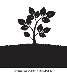 Black Vector Tree. Illustration of Bonsai.