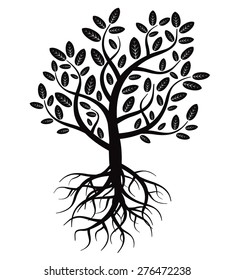 Black vector tree and roots