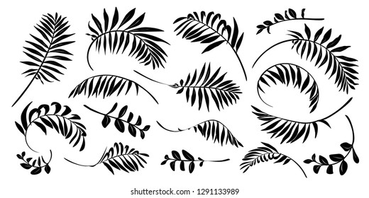 Black vector tropical leaves hand drawn silhouettes isolated on white background