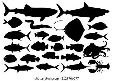 black vector of various kinds of fish and sea animals