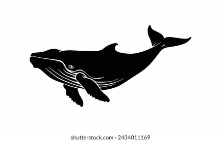 Black vector whale silhouette white background