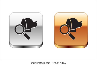 Black Veterinary clinic symbol icon isolated on white background. Magnifying glass with dog veterinary care. Pet First Aid sign. Silver-gold square button. Vector Illustration