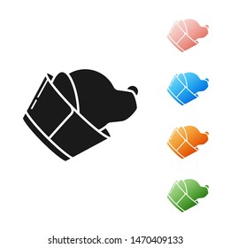 Black Veterinary clinic symbol icon isolated on white background. Dog veterinary care. Pet First Aid sign. Set icons colorful. Vector Illustration