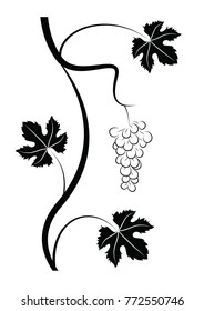 black vine with leaves and grape fruit on a white background