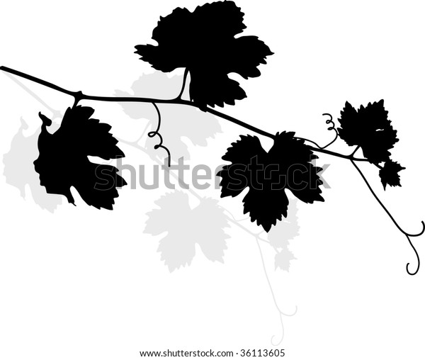 Black Vine Leaves Vector Illustration Stock Vector (Royalty Free) 36113605