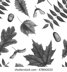 Black vintage engraving of autumn leaves on white background. Seamless pattern. Vector autumnal oak, maple, acer, rowan leaf, acorn, maple keys seed, helicopters set collection.