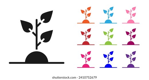 Black Volunteer team planting trees icon isolated on white background. Represents ecological protection, protecting plants and trees. Set icons colorful. Vector