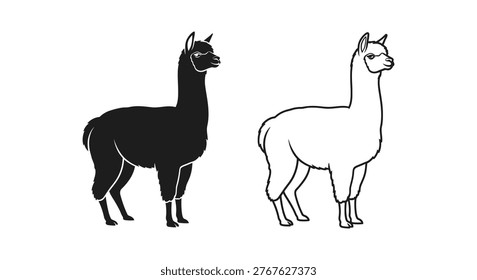 Black vs White Llama Unique Camelid Breeds Guide Vector