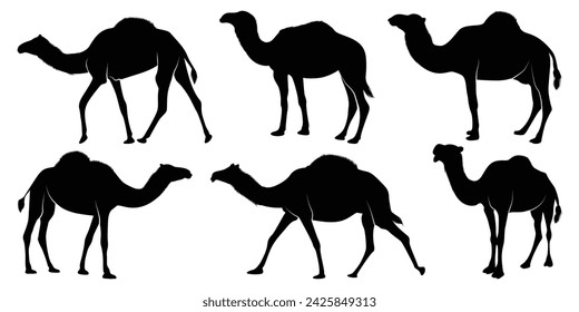 Black Walking Camel Silhouettes vector
