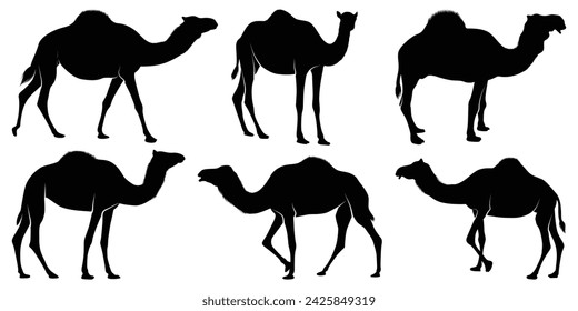 Black Walking Camel Silhouettes vector