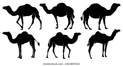 Black Walking Camel Silhouettes vector
