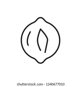 black walnut icon vector. bean icon
