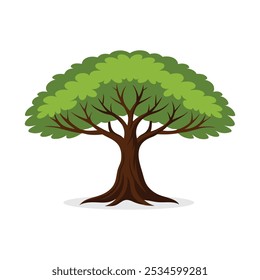 
Black Walnut Locust tree isolated flat vector illustration on white background.