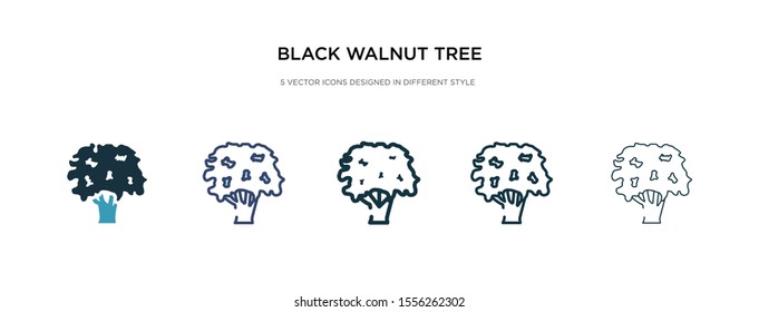 black walnut tree icon in different style vector illustration. two colored and black black walnut tree vector icons designed in filled, outline, line and stroke style can be used for web, mobile, ui