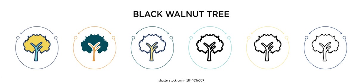 Black walnut tree icon in filled, thin line, outline and stroke style. Vector illustration of two colored and black black walnut tree vector icons designs can be used for mobile, ui, web
