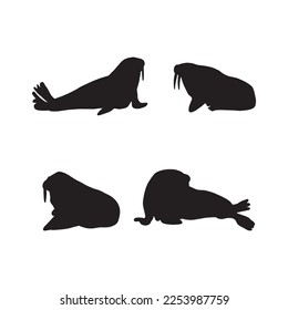 Black walrus silhouette on a white background. Vector hand drawn kids illustration. Sea ocean. Underwater world