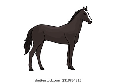 black warmblood horse galloping on white background stock vector