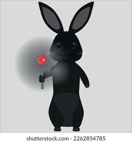 Black Water Rabbit with candle which has Turkey fire meet new year