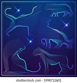 Black water tiger-symbol of 2022. Chinese New Year. Holiday zodiac sign of animal. Vector illustration.
