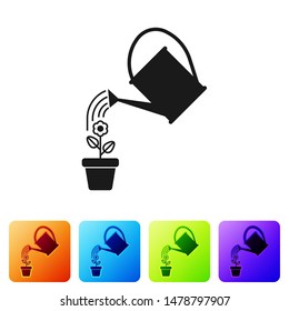Black Watering can sprays water drops above flower in pot icon isolated on white background. Irrigation symbol. Set icon in color square buttons. Vector Illustration