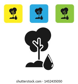 Black Watering Tree icon isolated on white background. Forest symbol. Irrigation symbol. Set icons colorful square buttons. Vector Illustration