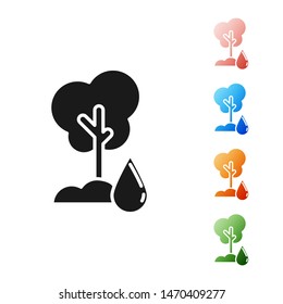 Black Watering Tree icon isolated on white background. Forest symbol. Irrigation symbol. Set icons colorful. Vector Illustration