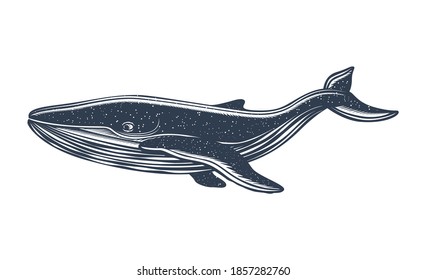 Black Whale on white background. Handcrafted style.Tattoo art, graphic, t-shirt design, poster design