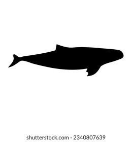 Diseño vectorial de silueta de ballena negra
