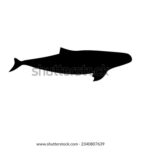 Black whale silhouette vector design
