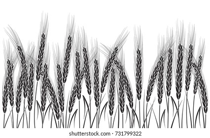 Black wheat field isolated on white background. Set of wheat ears. Background for farms and bakeries. Collection of elements for company logos, print products, page and web decor or other design.
